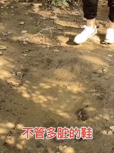 INLIFE  White Shoes Cleaning Agent Cleaning Decontamination Yellow Whitening Shoe Brushing Wash White One Wipe Special Liquid Wash Shoes Artifact