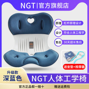 NGT Style Office Chair Cushion Ergonomic Petal Design Backrest Pad Lumbar Support Fatigue Free Study Work Comfortable Seat Pad