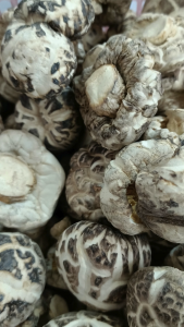花菇 China Shiitake Mushroom 3-4cm / 2-3cm 白花菇