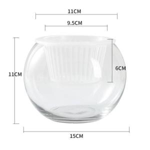 TEKANAI | Transparent Round Plant Pot for Hydroponics