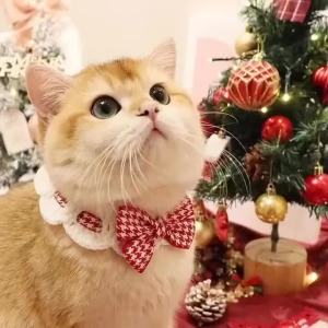 Cute Cat Collar with Bow Tie Adjustable Design Pet Dogs Cats Puppy Necklace Pet Supplies Used for Small Pets Bow Tie Accessories