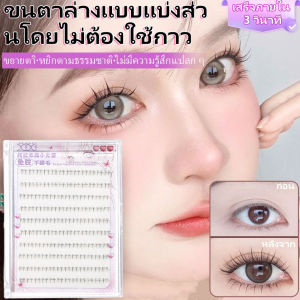 ขนตาปลอมแบบติดด้วยตนเองสำหรับผู้หญิงที่ไม่ต้องใช้กาว จำลองแบบธรรมชาติ ขนตาปลอมแบบขี้เกียจ ขนตาปลอมดอกทานตะวันที่ไม่ต้องใช้กาว