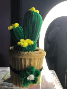 Kaktus Pot | Kawat Bulu | Souvenir Gift Cute
