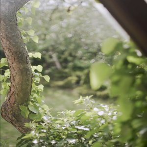 VitaminE skin care lotion Sumeya (วิตามินอี สกิน แคร์ โลชั่น สุเมยา) มีส่วนผสมของวิตามินอี ที่ช่วยให้ผิวขาว กระจ่างใส และเพิ่มความชุ่มชื่นให้กับผิว ผิวแข็งแรง อย่างเป็นธรรมชาติ ปริมาณ 250 ml.