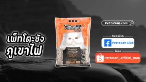 Pettosan ทรายแมวภูเขาไฟ กลิ่นมอคค่า 612 ลิตร ทรายแมว ทรายแมว ภูเขาไฟ - Lazada
