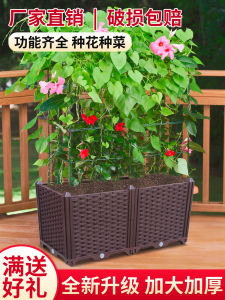 Balcony Vegetable Box Planting Box Household Roof Vegetable Garden Equipment Extra Large Deepened Combination Planting Basin Slots Plastic Flower Pot