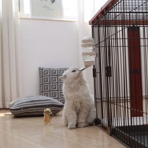 CHONGBOSHI | Pet Hanging Water Dispenser with Rolling Ball Auto-Watering Function