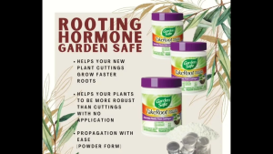 GARDEN SAFE BRAND TAKE ROOT ROOTING HORMONE 57 GRAMS IMPORTED FROM USA