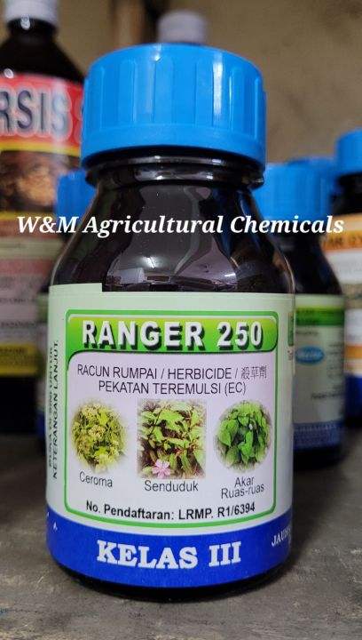 quinstar herbicide Allstar Selective Herbicide – Crabgrass, Nutsedge & Broadleaf Control