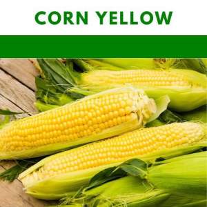 Yellow Corn repacked seeds gardening