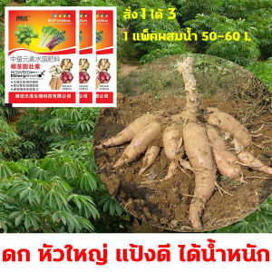1 แพ็ค 30 กรัม เจือจางด้วยน้ำ 500-800 ครั้ง ป้องกันการแตกร้าว ขยายตัวอย่างรวดเร็ว ต้านทานโรค เพิ่มผลผลิต และปรับปรุงคุณภาพ ปุ๋ยมันสำปะหลัง ปุ๋ยนาข้าว ปุ๋ยข้าวโพด ปุ๋ยอ้อย ปุ๋ยผักสวนครัว ผลผลิตงามๆ