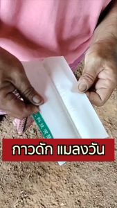 กาวดักแมลงวัน แผ่นกาวดักแมลงวัน เหนียวแน่น ติดดี กาวเยอะ ซื้อ100 แผ่นขึ้นไปราคาขายส่ง ทักแชท