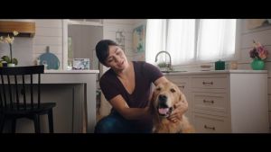 Frontline Plus Spot-On Flea & Tick Control for Dogs and Cats 100% Original All Life Stages Easy Application 3-Pack