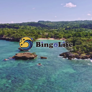 Bingolife Ultra Fishing Line 500m Golden Speckle Invisible Nilon Senar Pancing Kuat Dan Anti Keriting