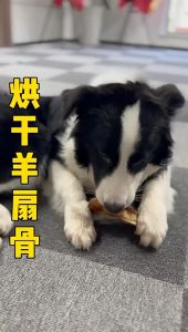 Air Dried Lamb Fan Bone Air Dried Lamb Rib Pet Healthy Teeth Molar Dental Snack for Dog风干羊扇软骨宠物狗狗磨牙棒