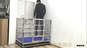 Stainless Steel Dog Cage Heavy Duty Dog Cage Large Dog Cage With Gift Dog Bowl Large Size Stainless Cage