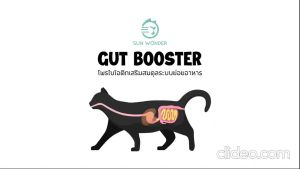 ผงอาหารเสริมโปรไบโอติก Gut Booster 1ซอง สูตรสำหรับแมว ทานง่าย แบบโรยอาหาร ปรับสมดุลลำไส้ แก้ ท้องเสีย ถ่ายเหลว ถ่ายเหม็น ท้องอืด by Sun Wonder