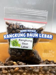Benih Kangkung Daun Lebar Unggulan & Hydroponik Berkualitas