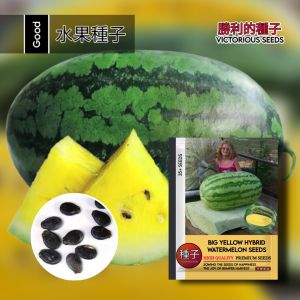 1 Pack (35 Butir) Benih Semangka Raksasa Big Yellow Kemasan Import / Benih bibit semangka