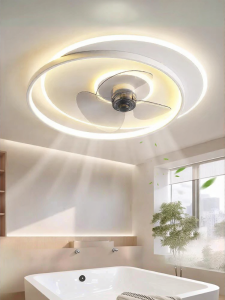 Smile | Modern Simple Style Integrated LED Fan Light