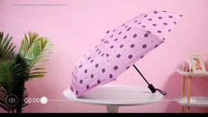 Bear Automatic Umbrella Folded Rain & UV Protection Umbrella Waterproof Umbrella