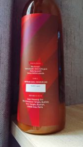 HONEY LEMON INAYAH BEAUTY 100% ORIGINAL HQ GATTOX BERRYFULL SLIMMING KAWAL SELERA DETOX KEMPIS