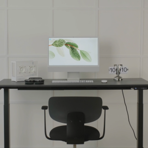 Omnidesk Classic Wildwood Regular (76cm Width) - Standing Desk