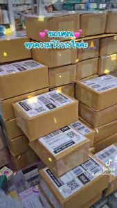 ร้านส่งทุกวันค่ะ🔆รับประกัน2ปี. ปรอทวัดไข้ดิจิตอล Terumo รุ่น C205 ดูแลหลังการขายทุกเครื่อง(พร้อมคู่มือใช้งานเบื้องต้น)