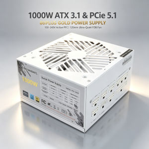 1000W ATX 3.1 & PCIe 5.1 80PLUS GOLD Power Supply 100-240V Active PFC ATX PSU with 120mm Ultra-Quiet FDB Fan for PC Server