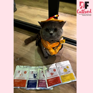 DF CatFood (Made in MY) Human Grade No Preservatives No Freezer Needed Trial Pack