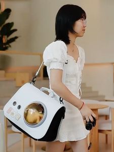 P05 Pet Portable Space Capsule Cat Bag Hand-held Foldable Shoulder Bag Out Backpack Cartoon Cat Dog Bag