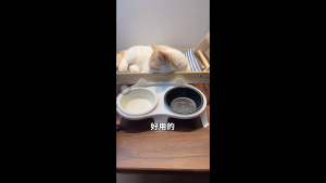 LDECO Double Ceramic Pet Bowl for Dogs & Cats | Food & Water Dual Purpose Cat Feeder | BPA-Free Easy-Clean