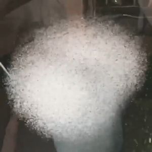 สายเติมอากาศ สาย Oxygen ring เติมอากาศบ่อปลา สีดำคาดฟ้า ออกซิเจนริงค์ 1เมตร ได้แต่สายไม่รวมท่อ ให้ฟองอากาศละเอียดสูง สายเติมอากาศฟองละเอียด