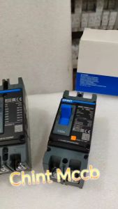 CHINT MCCB 2Pole /3Pole 25KA/36KA/50KA 63A 100A