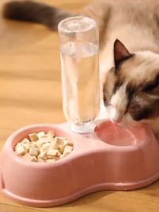 Tempat Makan Kucing Otomatis 2in1 Mangkok Double Free Botol Minum Anti Licin Anti Semut 2 in 1 Mangkuk Kotak Makanan Aksesoris Hewan Peliharaan avvet