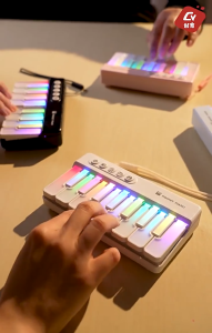 Electric Keyboard Learning Music Electronic Organ Early Education Mini Electronic Piano Toy Light Interactive