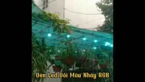 Combo 20 10 Bóng Đèn Chanh Bóng Led 3W Tự Động Đổi Nhiều Màu Trang Trí Nhà Cửa Sân Vườn RGB 7 Màu Nháy Đổi Màu Tự Động