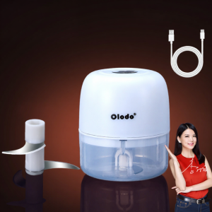 Olodo | Multifunctional Baby Food Processor Small