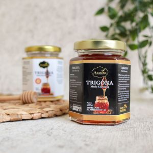 Madu Asli TRIGONA. Madu Propolis Bee Pollen Original 200GR. Organik Madu Lebah Klanceng.