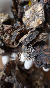 Mengkudu Kering 1 kg atau Buah Pace