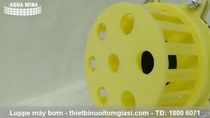 Lúp bê 90 máy bơm nước rọ vàng