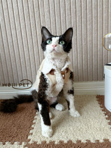 Thickened Suede Vest HOiii PET Warm Non-Wool Cat Coat German Cat Clothes Autumn Winter Pet Supplies Cat Clothing Accessories