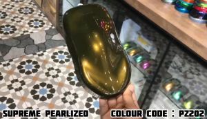 2K Paint AIKKA PZ202 Dark Gold SUPREME PEARLIZED Color Car Motor Paint DIY Spray Cat Bancuh Kereta Warna Emas 车漆