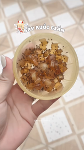 Bẫy Diệt Ruồi Giấm ARS Fly Catcher kèm mồi đầy dẫn dụ và diệt ruồi giấm nhanh gọn hiệu quả