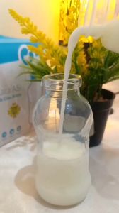 BKA Botol ASI Kaca Breastmilk Glass Bottle Penyimpanan