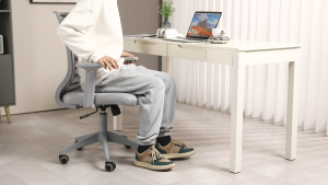 Mandaue Foam Penley Low Back Office Chair