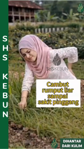 Weedmat Penutup Tanah Weedmat Heavy Duty 防草布 Plastik Hitam Tutup Tanah Penutup Tanah 防草垫 Weedmat Tebal Weed Control SHS Kebun