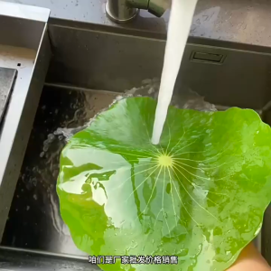 ใบตองจำลอง ใบบัวเขียวจำลอง ใบตองอุปกรณ์ตกแต่ง จานรองจาน จานรองจาน จานรองจาน จานรองจาน จานรองจาน