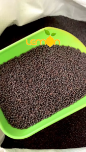 [COMBO] Hạt mù tạt đen Ấn Độ (BlackMustard seed) dùng làm nước chấm nước sốt trộn salad