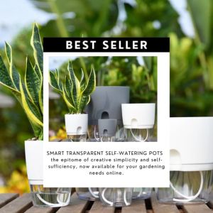 (SG Seller) Smart Self Watering Flower and Plant Pot / Plastic Pot / Automatic absorption Water Pot / Balcony Planting
